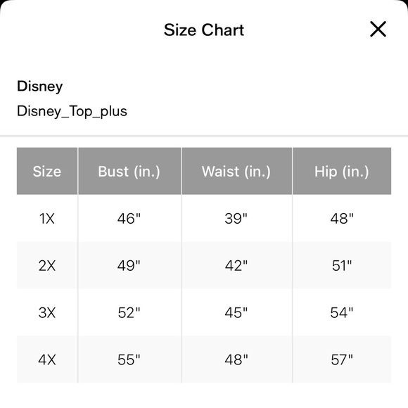 DISNEY Hocus Pocus Sanderson Sisters Tee – Plus Size 2X – NWT - Picture 6 of 8